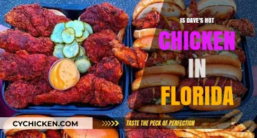 Is Dave's Hot Chicken in Florida? Locations and Spicy Details