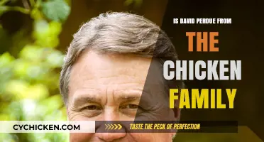 Is David Perdue Related to Perdue Chicken? Unraveling the Family Connection
