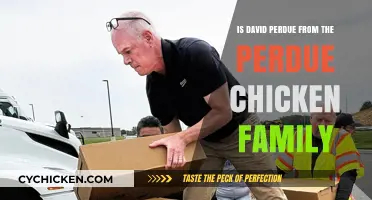 Is David Perdue Related to Perdue Chicken? The Truth Revealed