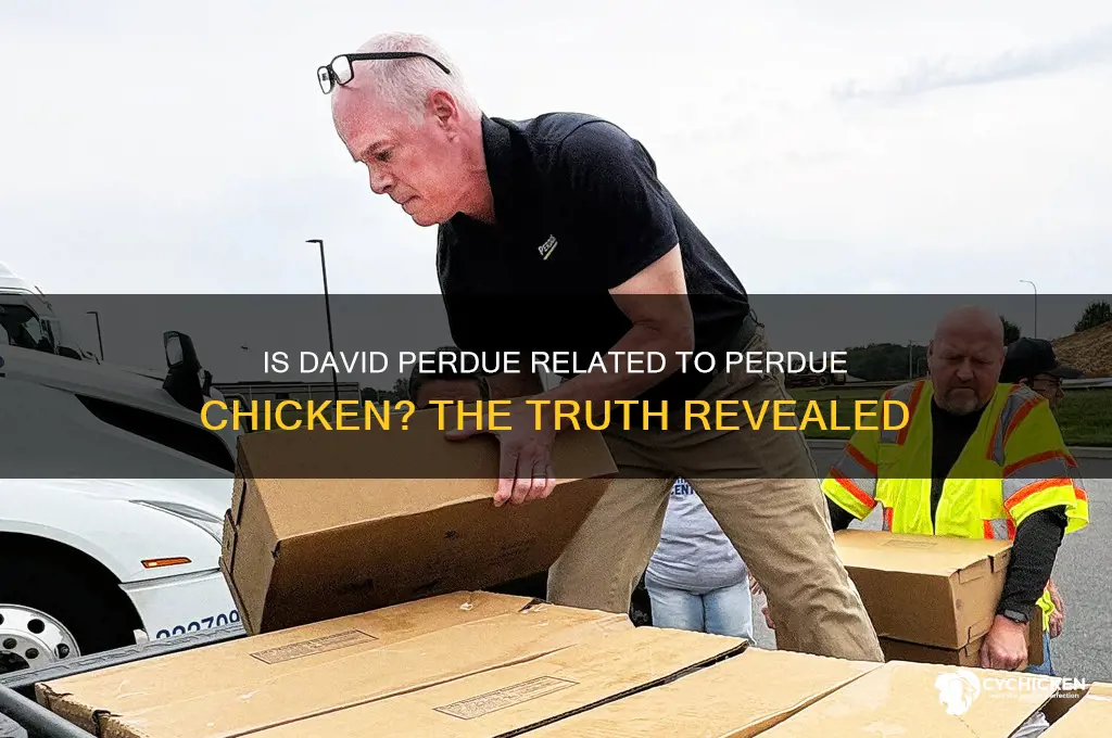 is david perdue from the perdue chicken family