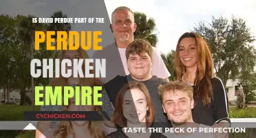 David Perdue: Part of the Chicken Empire?