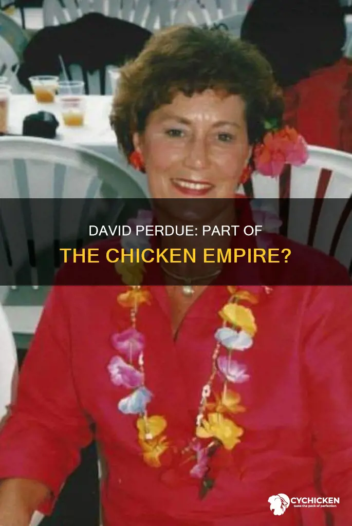 is david perdue part of the perdue chicken empire