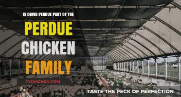 The Truth About David Perdue's Chicken Empire