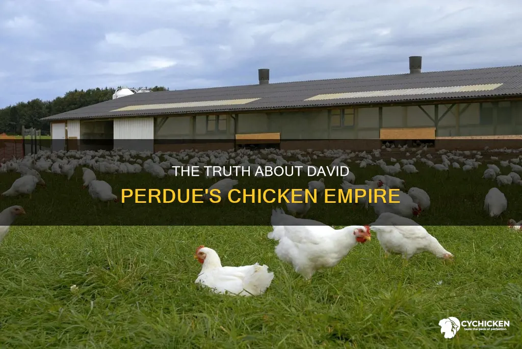 is david perdue part of the perdue chicken family