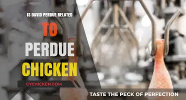 Is David Perdue Connected to Perdue Chicken? Unraveling the Truth