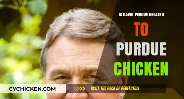 David Perdue and Purdue Chicken: Unraveling the Family Connection Myth