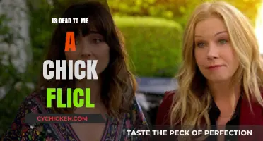 Is 'Dead to Me' a Chick Flick? Debunking the Label