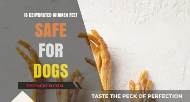 Dehydrated Chicken Feet for Dogs: Safe Treat or Risky Snack?