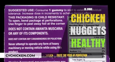 Dino Chicken Nuggets: Healthy Snack or Guilty Pleasure?