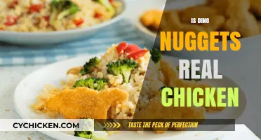 Are Dino Nuggets Real Chicken? Uncovering the Truth Behind the Fun