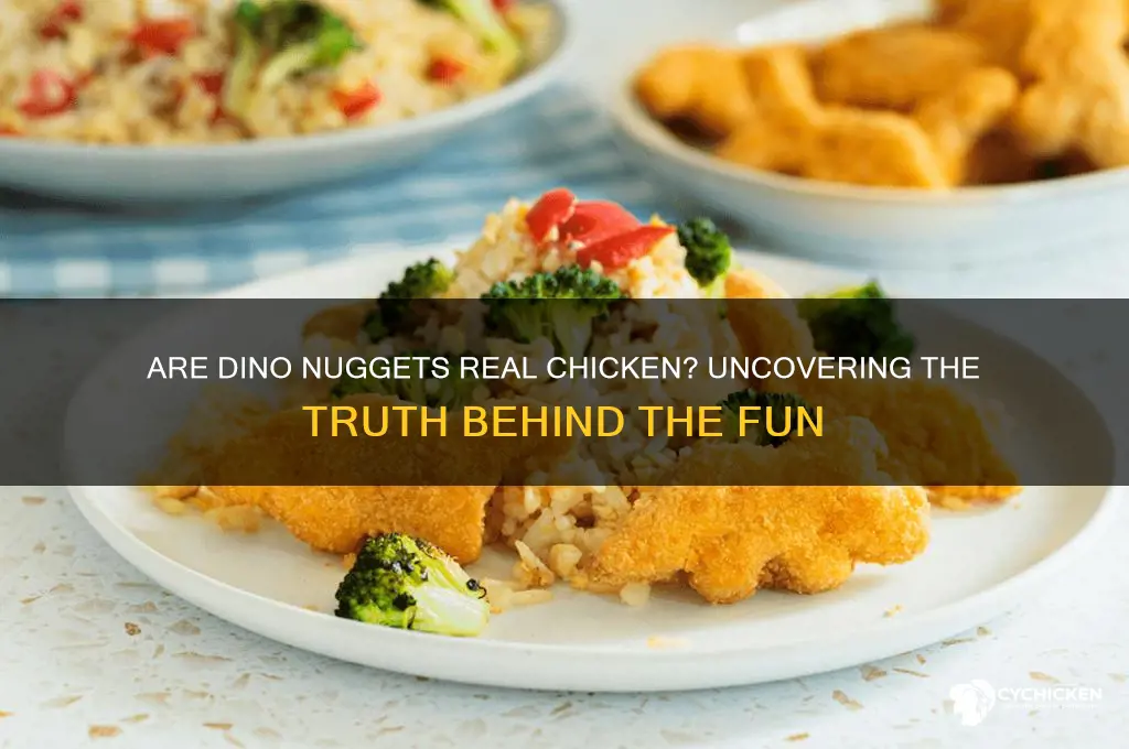 is dino nuggets real chicken