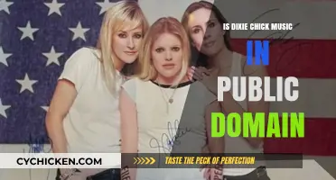 Is Dixie Chicks Music Public Domain? Legal Insights and Facts