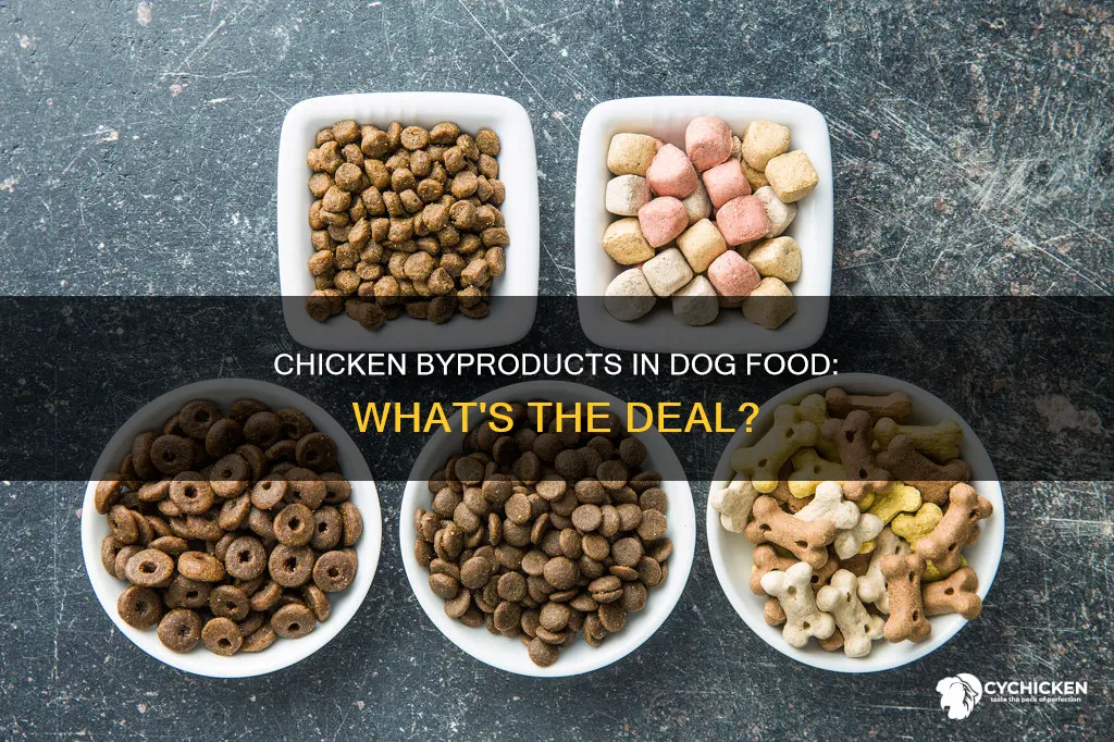 is dog food made up of mostly chicken byproducts