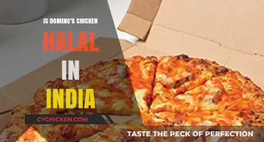 Is Domino's Chicken Halal in India? A Detailed Analysis
