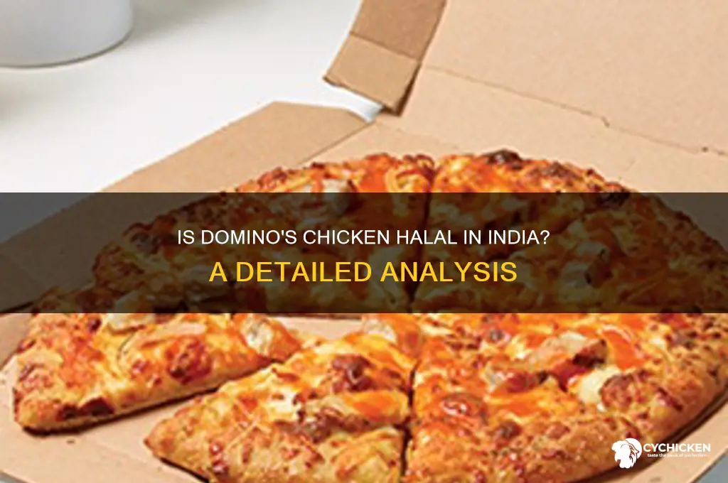 is domino