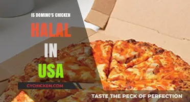 Is Domino's Chicken Halal in the USA? A Detailed Look