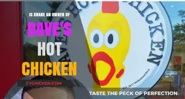 Drake's Hot Chicken Business: Is He an Owner?