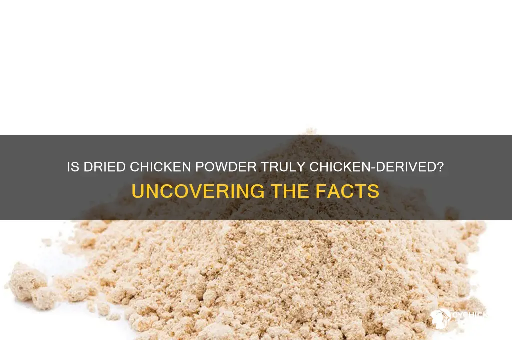 is dried chicken powder derived from chicken