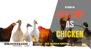 Quack vs. Cluck: Unraveling the Health Benefits of Duck and Chicken