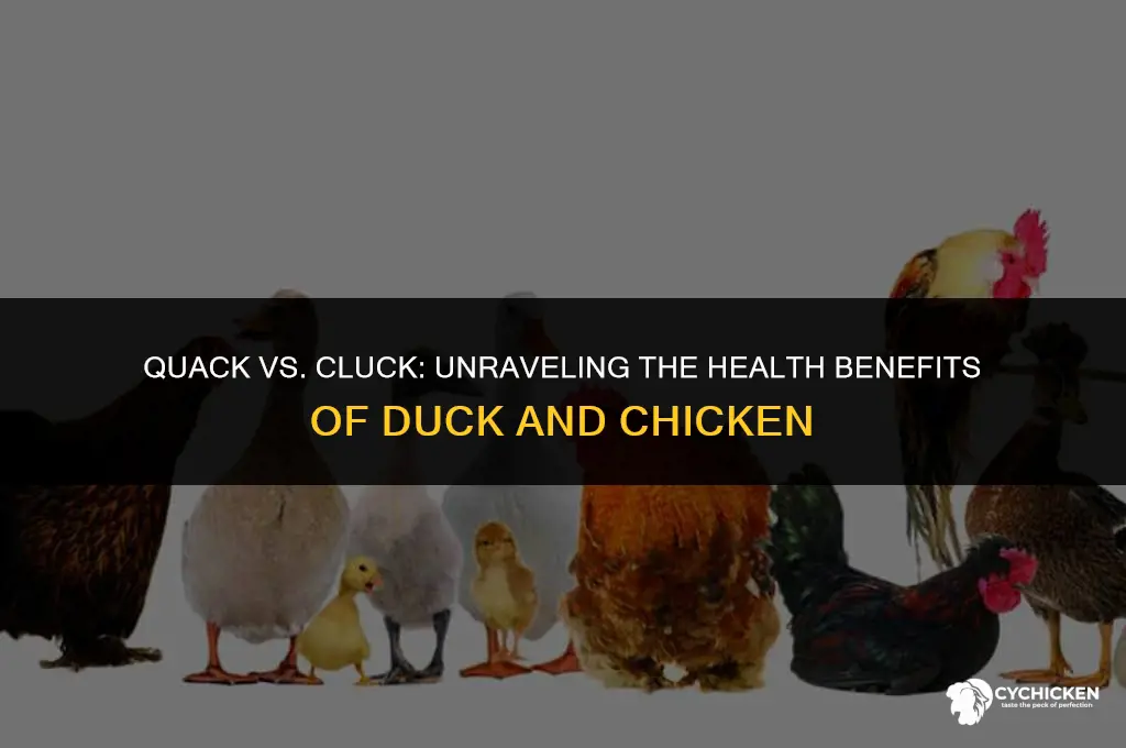 is duck as healthy as chicken