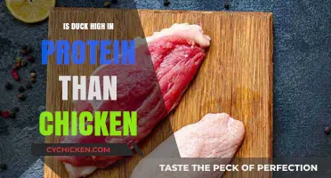 Duck vs. Chicken: Which Poultry Packs More Protein?