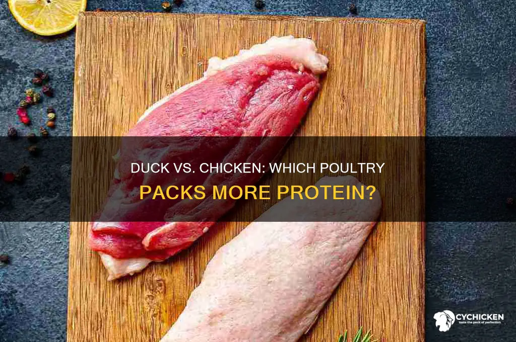 is duck high in protein than chicken