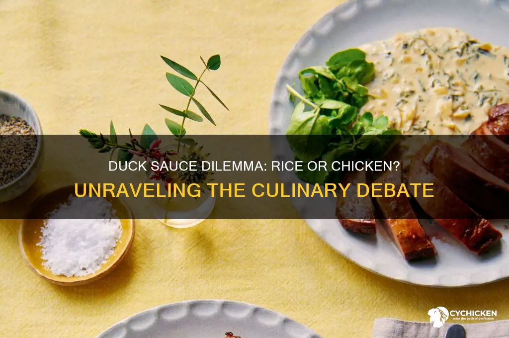 is duck sauce sued on rice or chicken