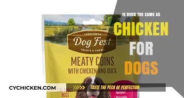 Duck vs. Chicken: Which Protein is Better for Your Dog?