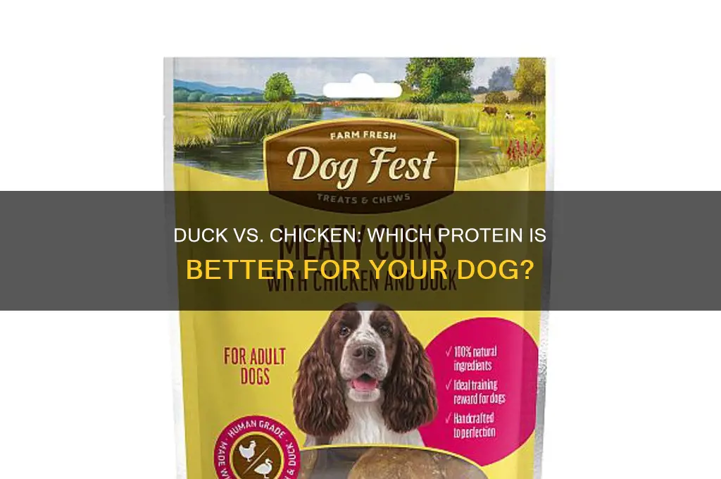 is duck the same as chicken for dogs