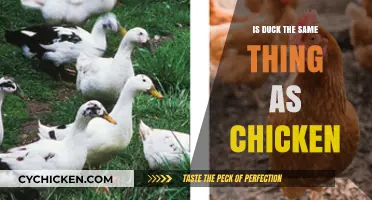 Duck vs. Chicken: Unraveling the Culinary and Nutritional Differences