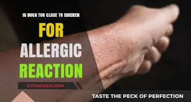 Duck and Chicken Allergies: What's the Deal?