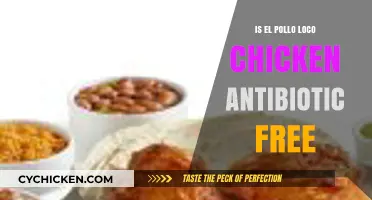 Is El Pollo Loco's Chicken Antibiotic-Free? Uncovering the Truth