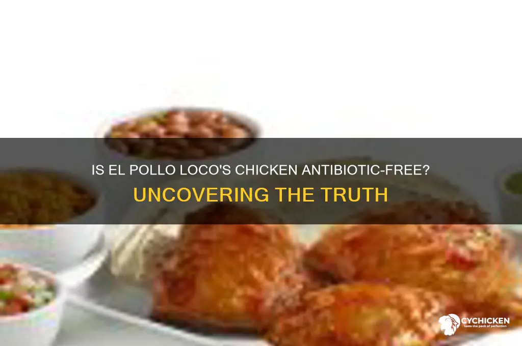 is el pollo loco chicken antibiotic free