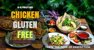 Is El Pollo Loco Chicken Gluten-Free? A Complete Guide