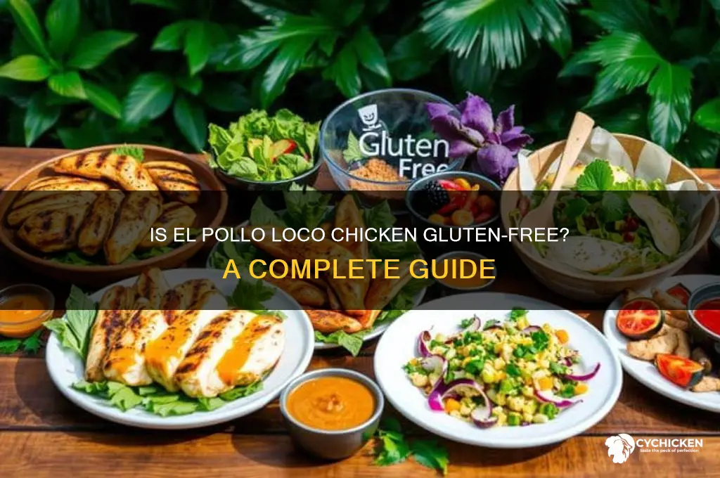 is el pollo loco chicken gluten free