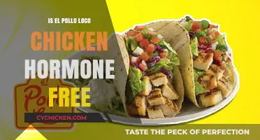 Is El Pollo Loco Chicken Hormone-Free? Uncovering the Truth