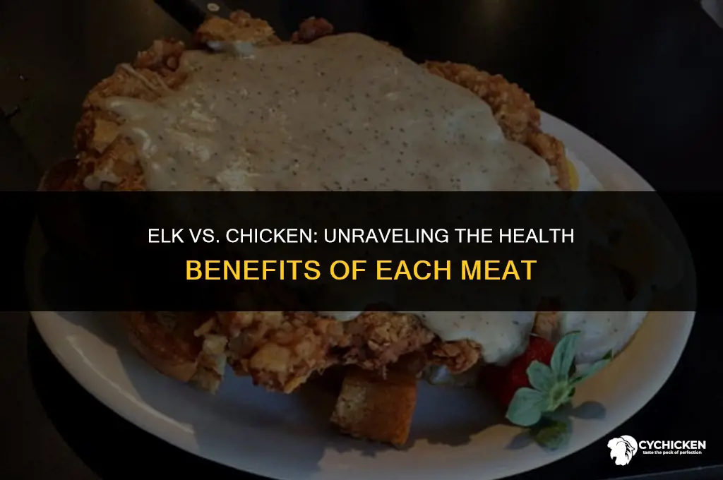 is elk healthier than chicken