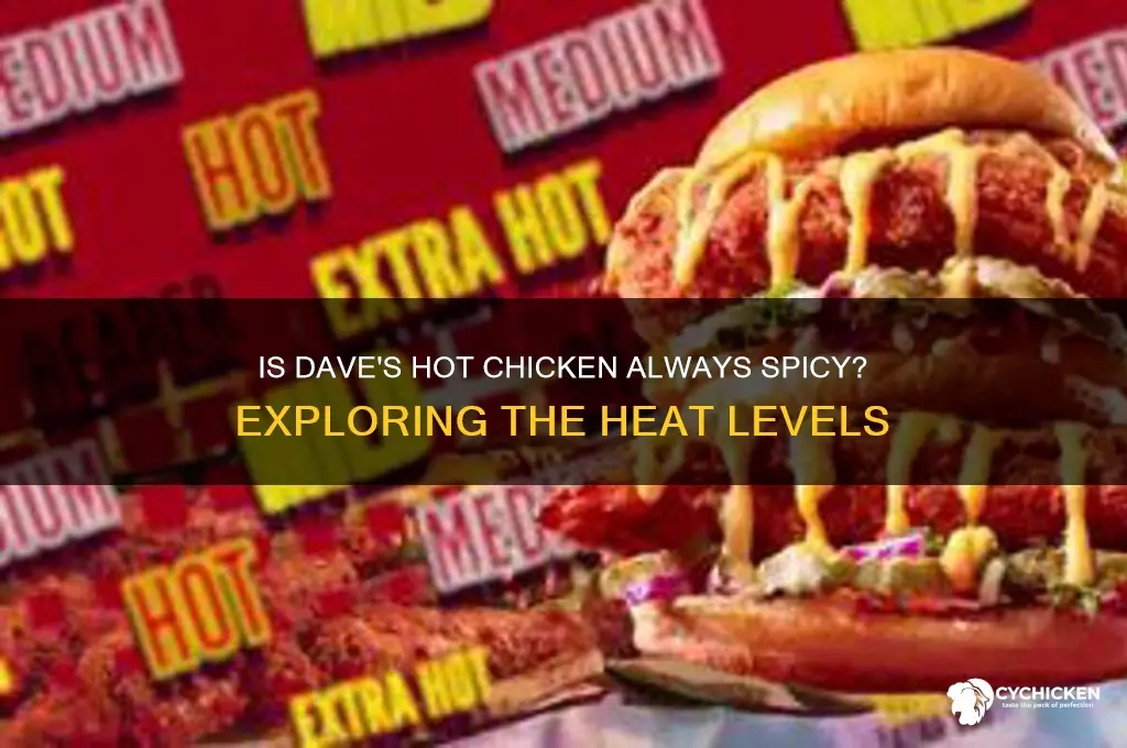 is everything at dave