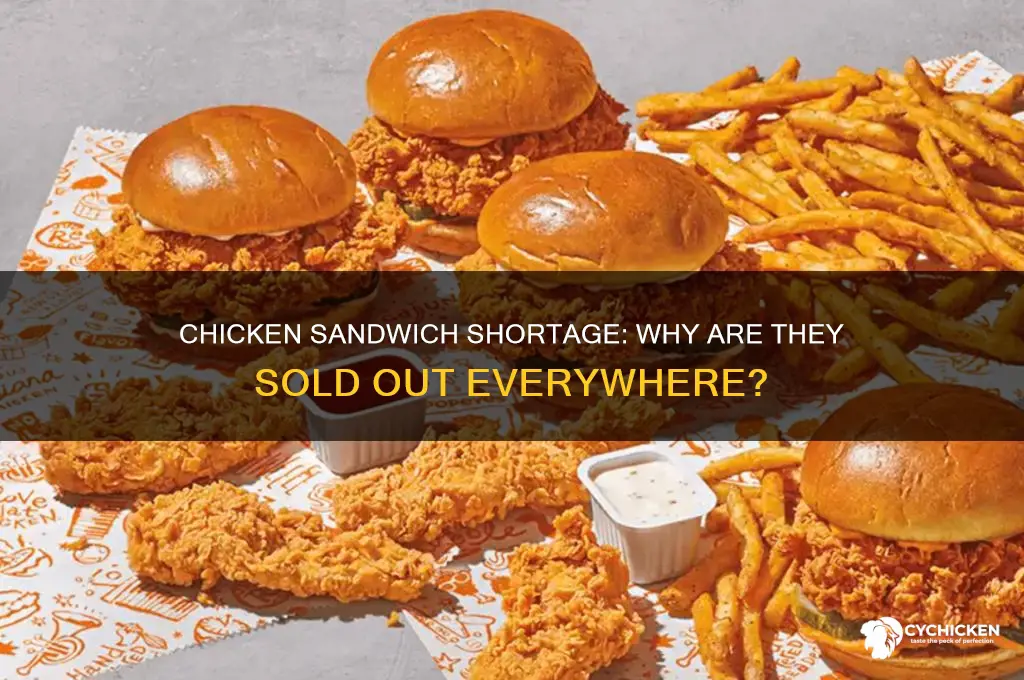 is everywhere sold out of chicken sadnwichs