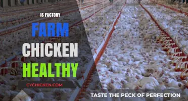 Unveiling the Truth: Is Factory Farm Chicken Really Healthy?
