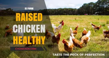 The Truth About Farm-Raised Chicken: A Healthy Choice?