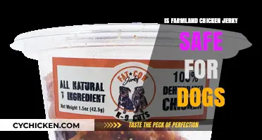 Is Farmland Chicken Jerky Safe for Dogs? A Detailed Review