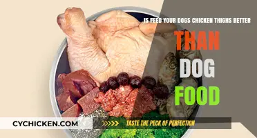 Chicken Thighs vs. Dog Food: Which is Healthier for Your Pup?