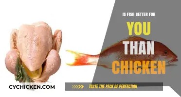 Fish vs. Chicken: Which Protein Choice Boosts Your Health More?