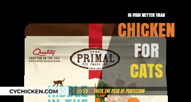 Fish vs. Chicken: Which Protein Reigns Supreme for Cats?