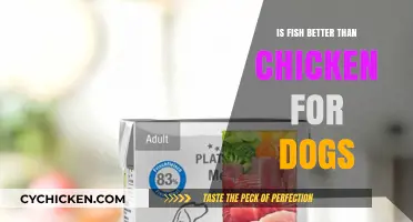 Fish vs. Chicken: Which Protein is Best for Your Dog?