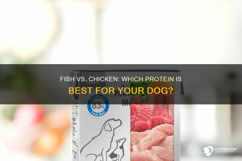 is fish better than chicken for dogs