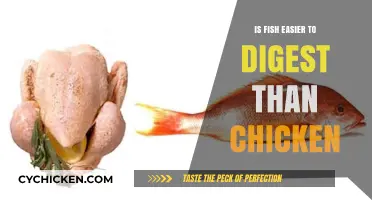 Fish vs. Chicken: Which Protein is Easier on Your Digestive System?
