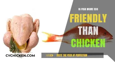Fish vs. Chicken: Which Protein Choice is Greener for Our Planet?
