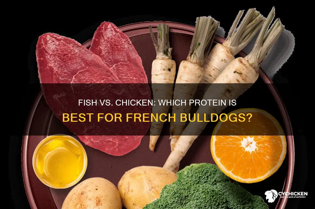 is fish or chicken better for french bulldog